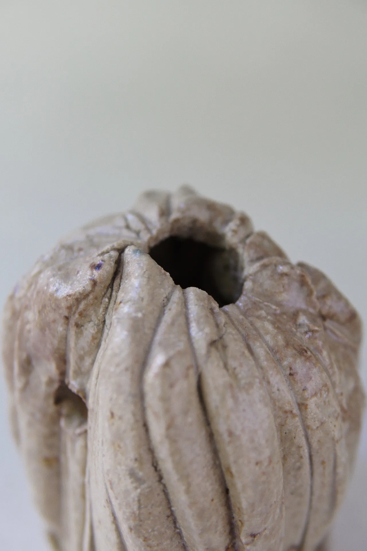 Shell