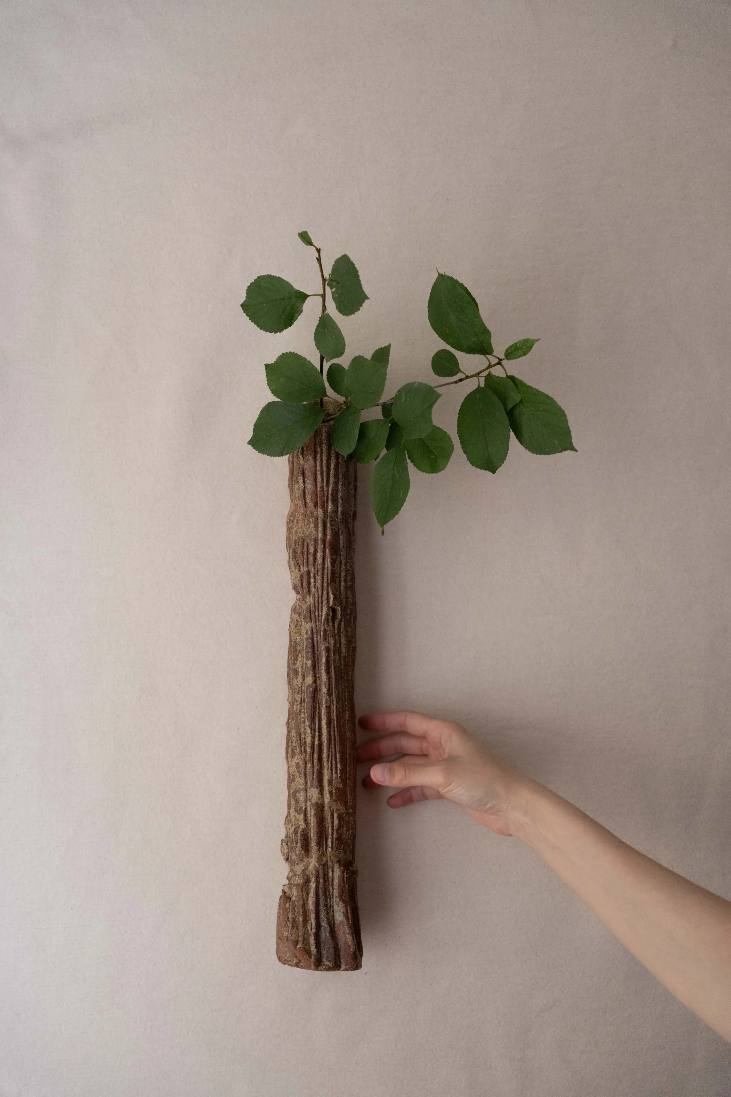 Tree II